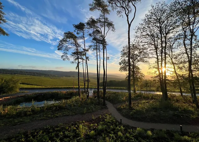 Loisium Wine & Spa Hotel Champagne